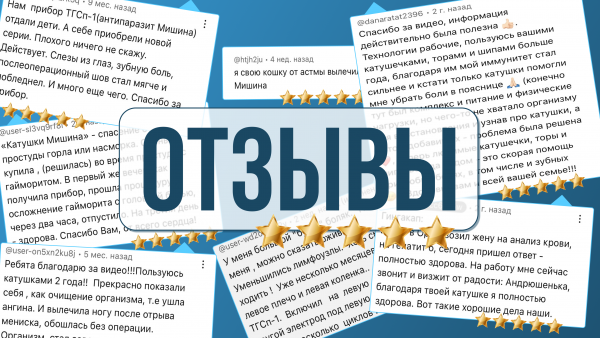 Отзывы